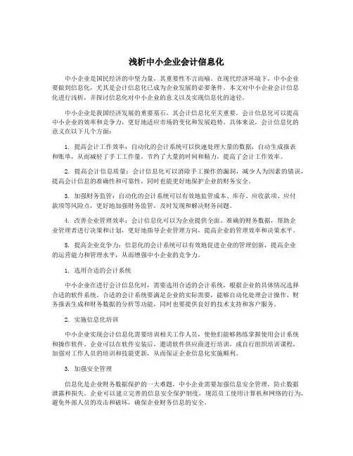 浅析中小企业会计信息化