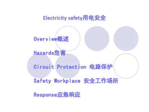 Electricity+safety