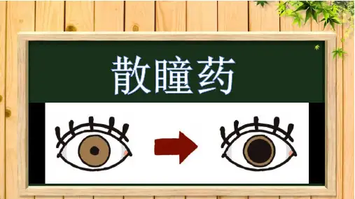 散瞳药介绍