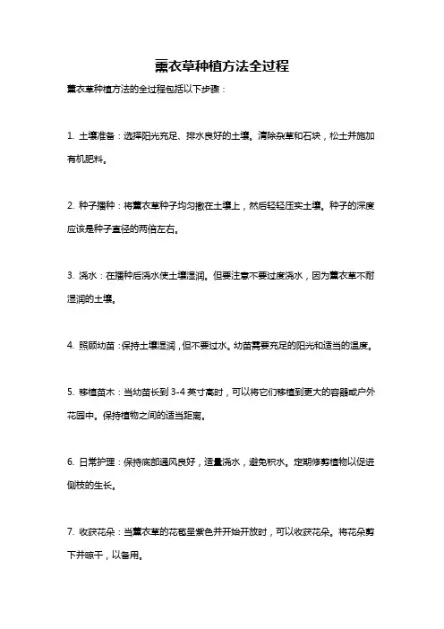薰衣草种植方法全过程