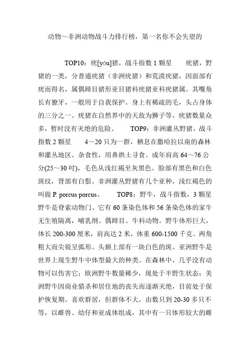 动物～非洲动物战斗力排行榜,第一名你不会失望的