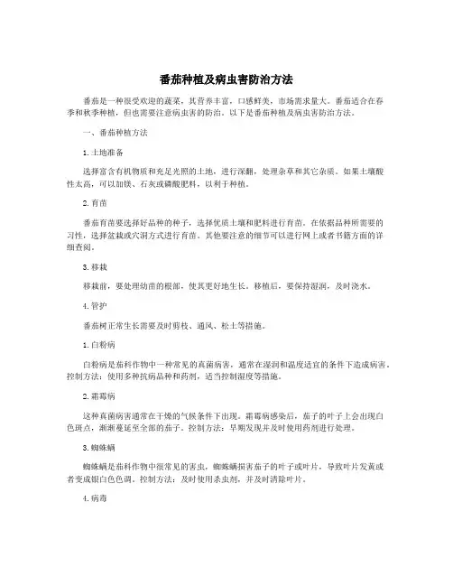 番茄种植及病虫害防治方法