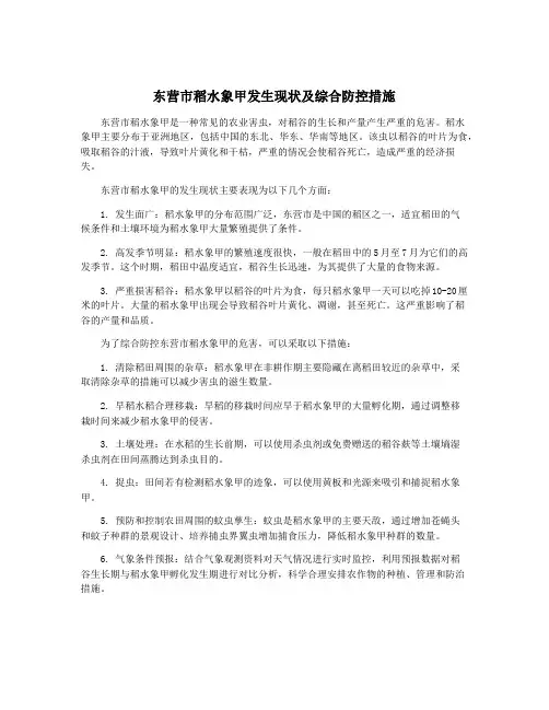 东营市稻水象甲发生现状及综合防控措施