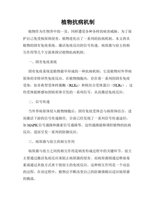 植物抗病机制