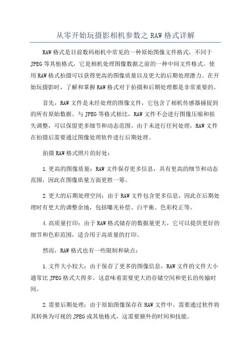 从零开始玩摄影相机参数之RAW格式详解
