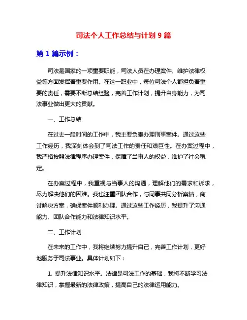 司法个人工作总结与计划9篇