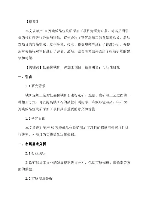 年产30万吨低品位铁矿深加工项目招商引资可行性研究报告怎么写