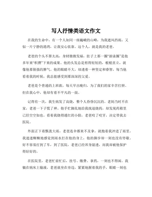 写人抒情类语文作文