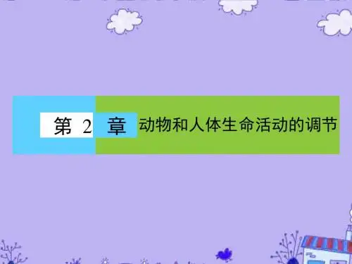 高中生物 第二章 动物和人体生命活动的调节章末高效整合课件 新人教版必修3