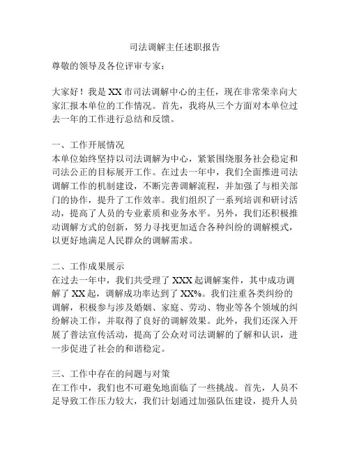 司法调解主任述职报告