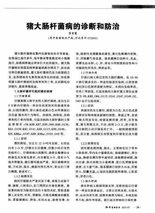 猪大肠杆菌病的诊断和防治