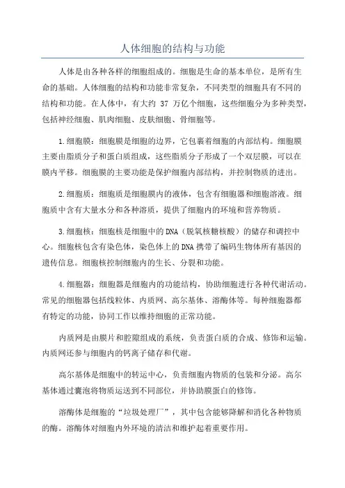 人体细胞的结构与功能