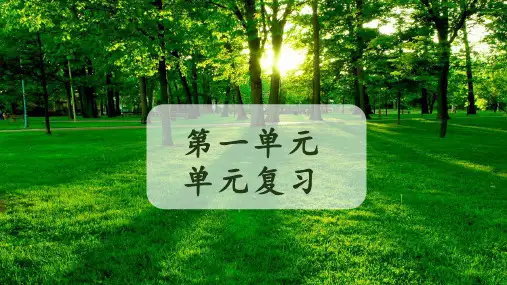 北师版七年级生物上册全册单元复习课件
