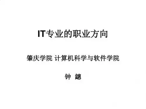 IT专业的职业方向培训讲座PPT(51张)