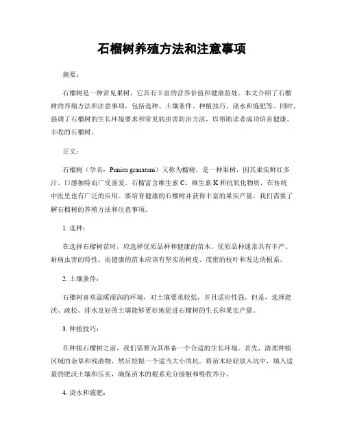 石榴树养殖方法和注意事项