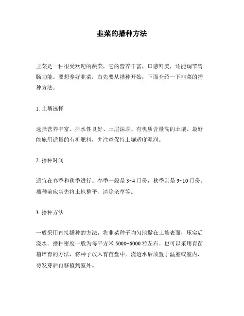 韭菜的播种方法
