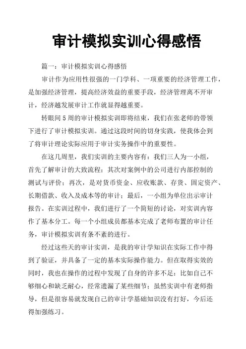 审计模拟实训心得感悟