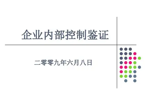 企业内部控制的基本规范(ppt 159页)