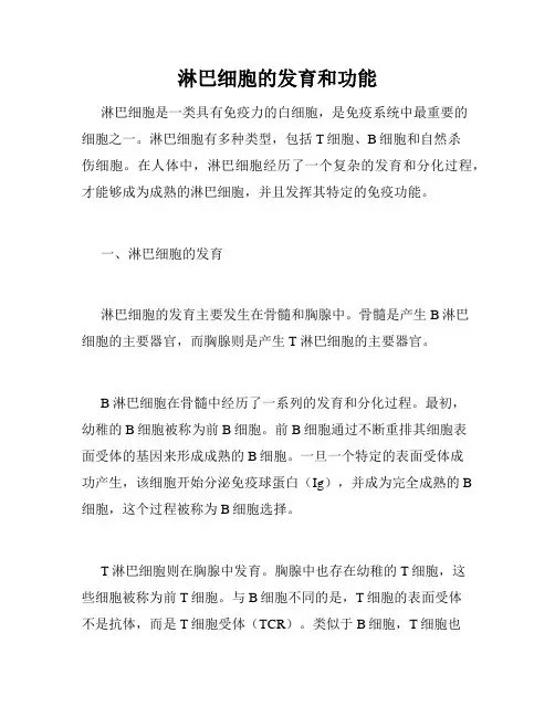 淋巴细胞的发育和功能