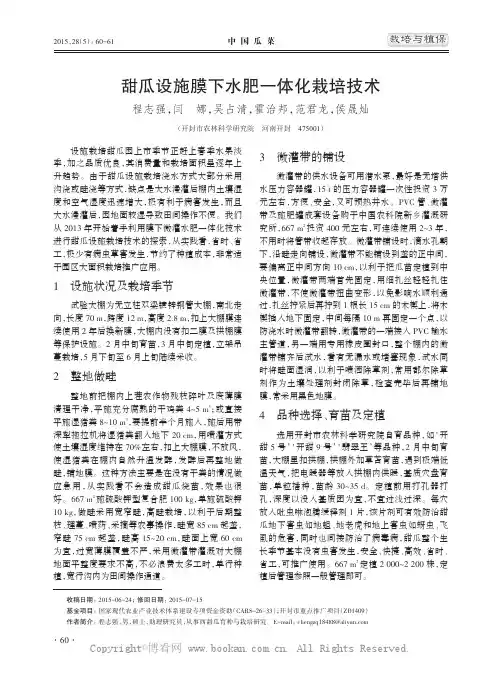 甜瓜设施膜下水肥一体化栽培技术