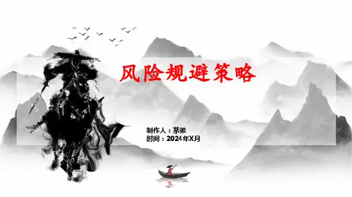 风险规避策略