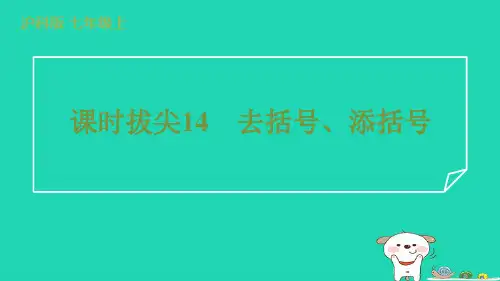 2024七年级数学上册课时拔尖14去括号添括号课件新版沪科版