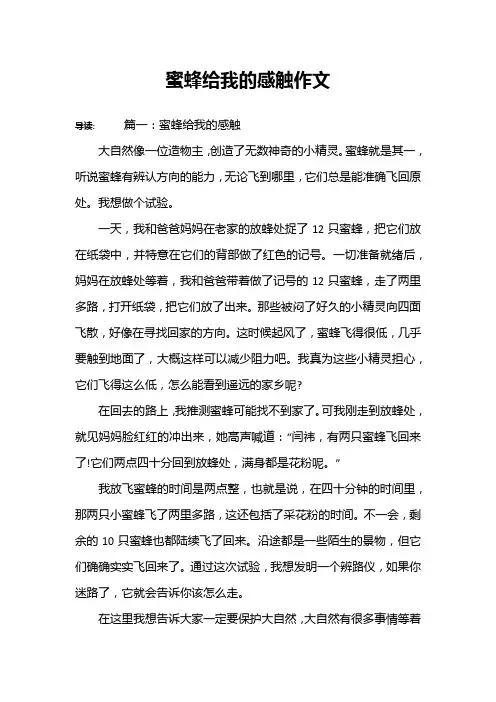 蜜蜂给我的感触作文