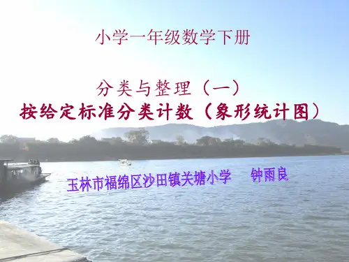 一年级【下】数学-3《分类与整理》人教新课标-优秀课件 (16张)(1)