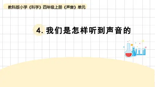 我们是怎样听到声音的小学四年级科学上册PPT课件