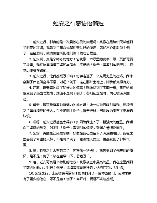 延安之行感悟语简短