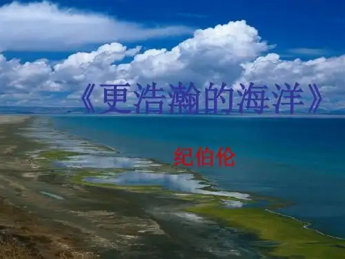 语文版九年级下册《更浩瀚的海洋》ppt课件03
