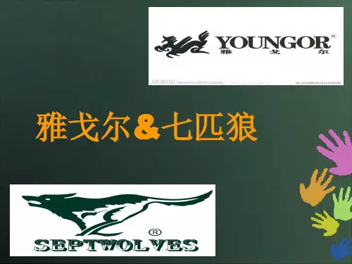 雅戈尔、七匹狼