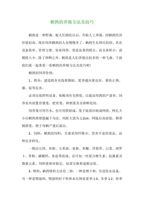 鹌鹑的养殖方法及技巧