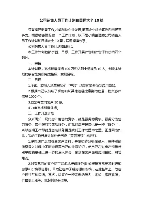 公司销售人员工作计划和目标大全10篇