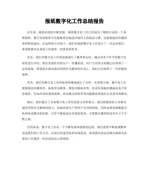 报纸数字化工作总结报告