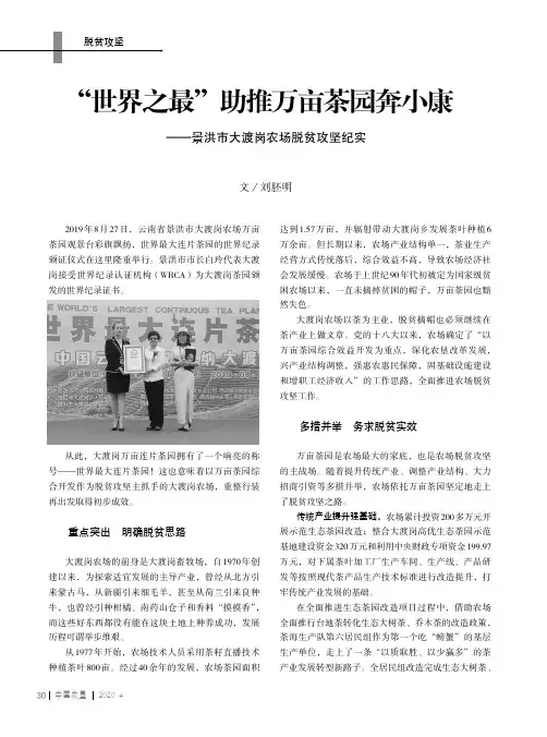 “世界之最”助推万亩茶园奔小康--景洪市大渡岗农场脱贫攻坚纪实