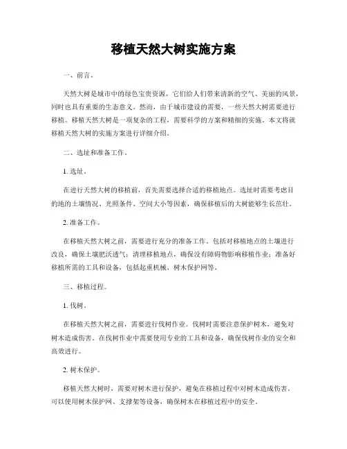 移植天然大树实施方案