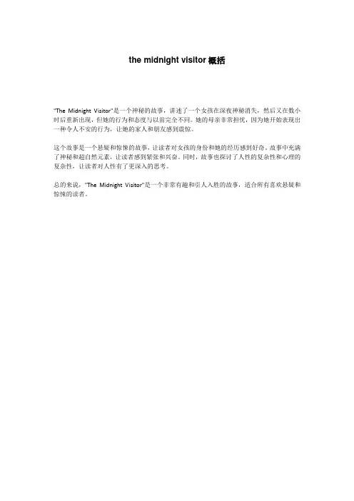 the midnight visitor概括