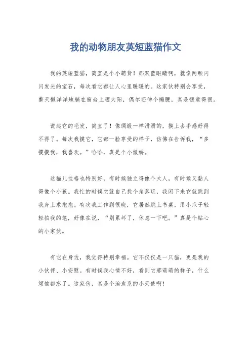 我的动物朋友英短蓝猫作文