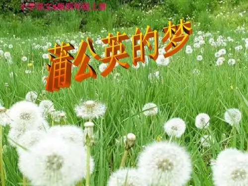 语文S版语文小学四年级上册《蒲公英的梦》PPT课件3