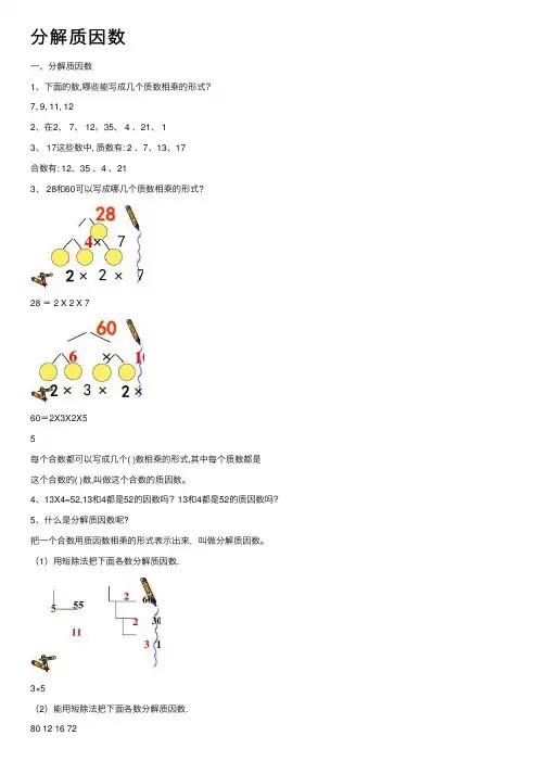 分解质因数——精选推荐