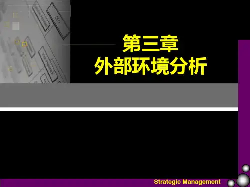 外部环境分析