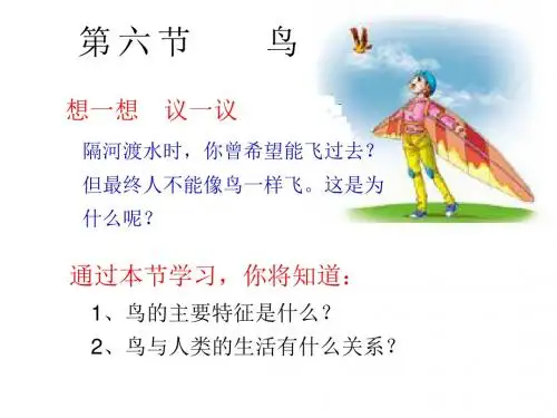 人教版八上第一章第六节鸟(共25张PPT)