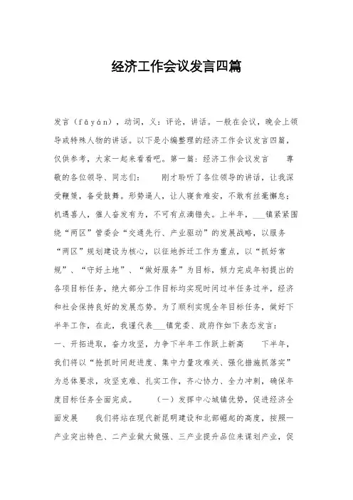经济工作会议发言四篇