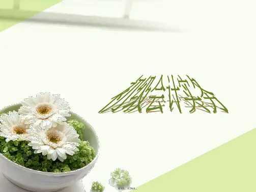 2017年初级会计实务第一章第六节