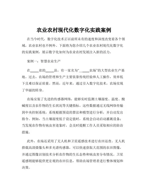 农业农村现代化数字化实践案例