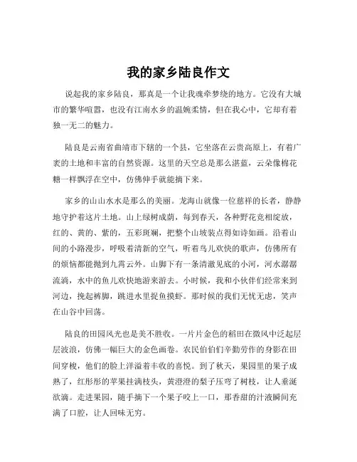 我的家乡陆良作文