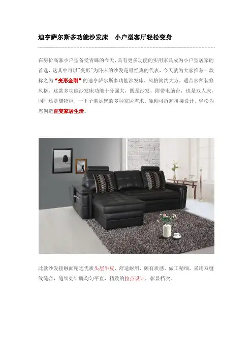 迪亨萨尔斯 多功能沙发床 小户型客厅轻松变身
