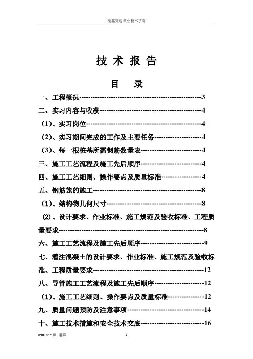 技术报告