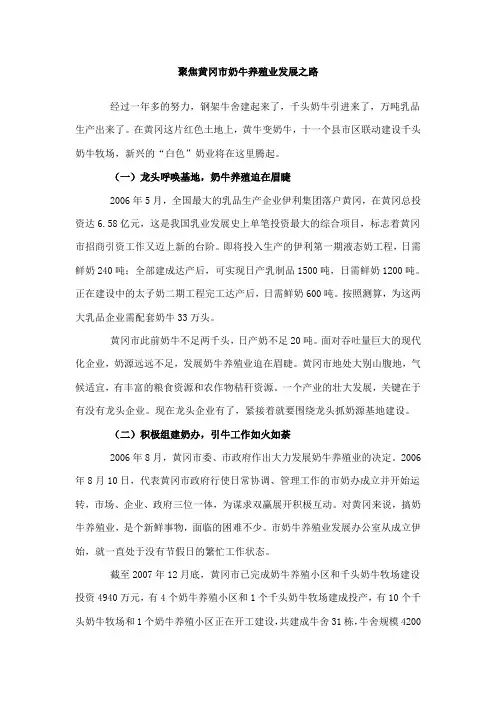 聚焦黄冈市奶牛养殖业发展之路